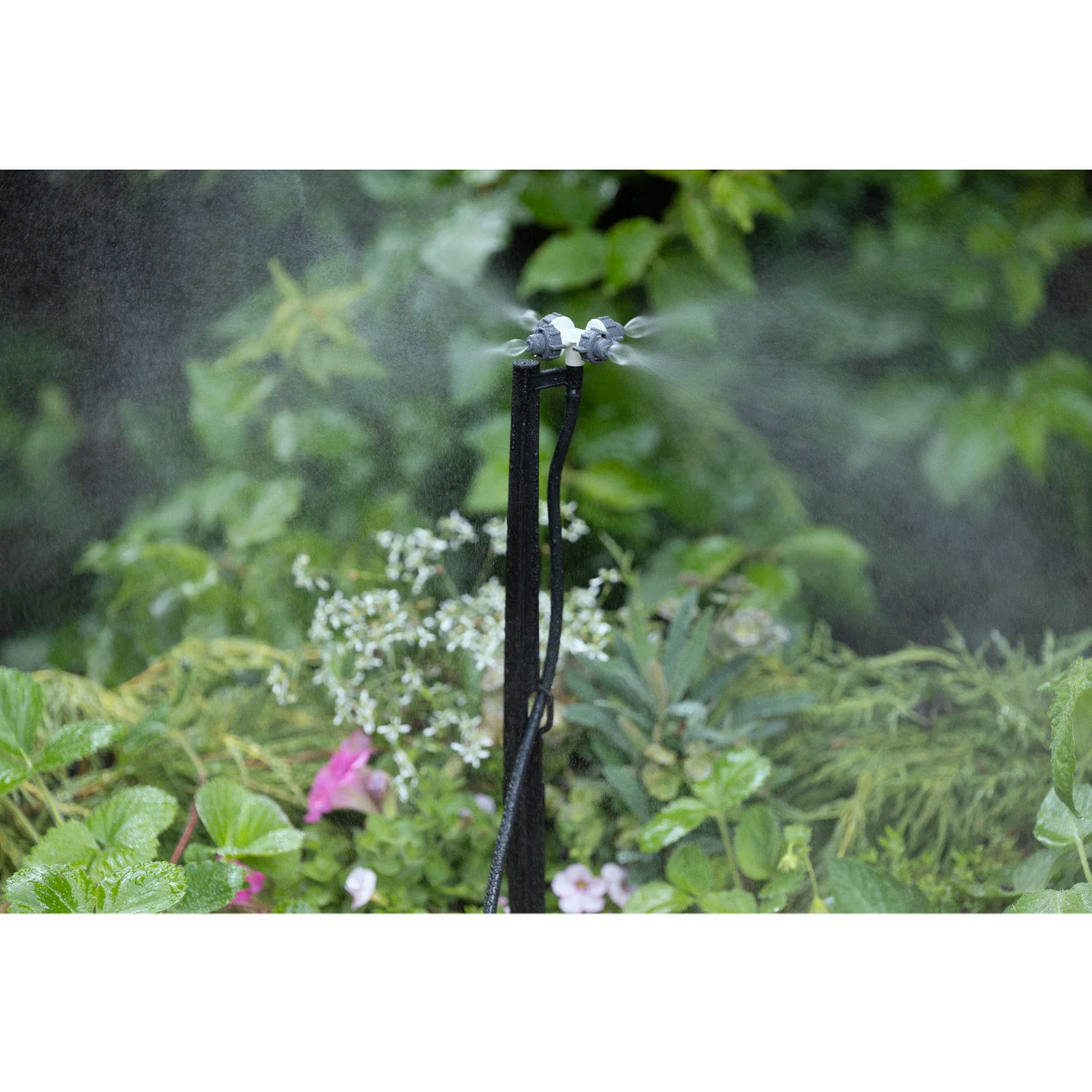 Brumisateur goutte à goutte - Image 5