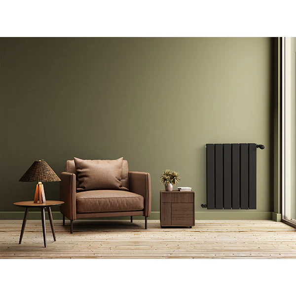 Radiateur horizontal double noir NYTIA - Image 3